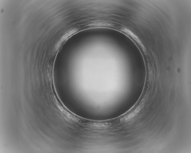 X0000059091049200510172050