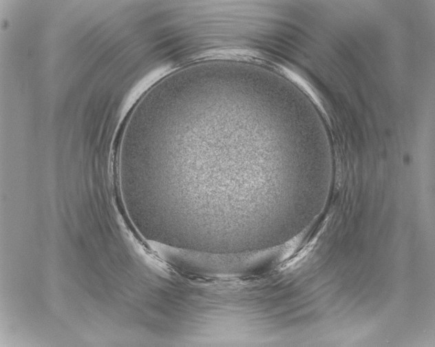 X0000059091050200510172050