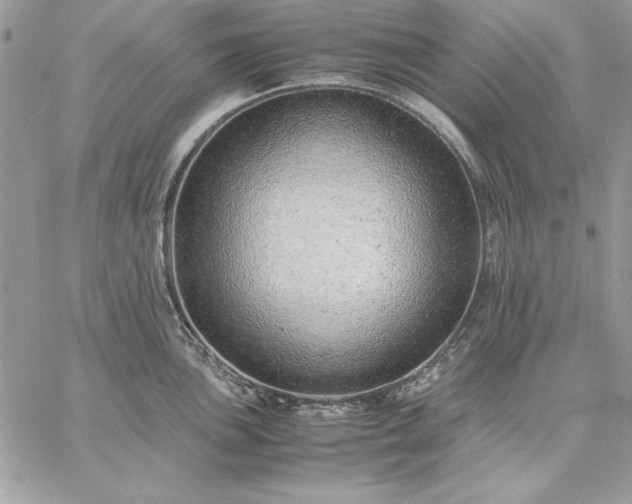 X0000059091051200510172050