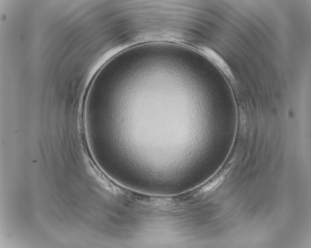 X0000059091052200510172050