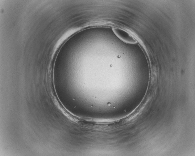 X0000059091053200510172050