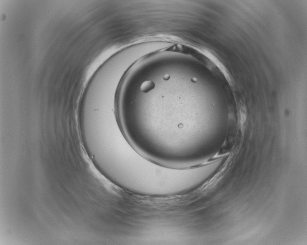 X0000059091054200510172050