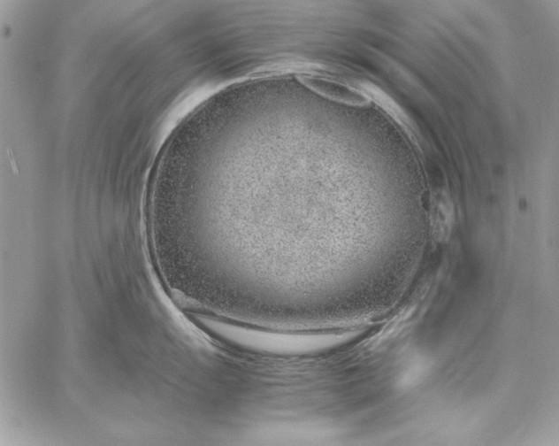 X0000059091055200510172050