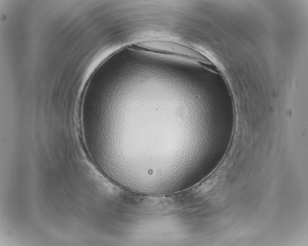 X0000059091056200510172050