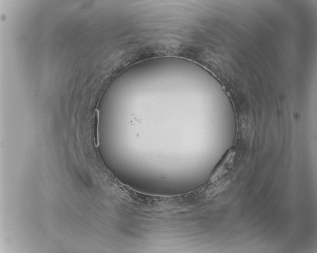 X0000059091057200510172049