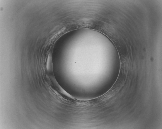 X0000059091058200510172049