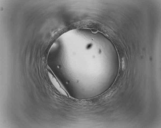 X0000059091059200510172049