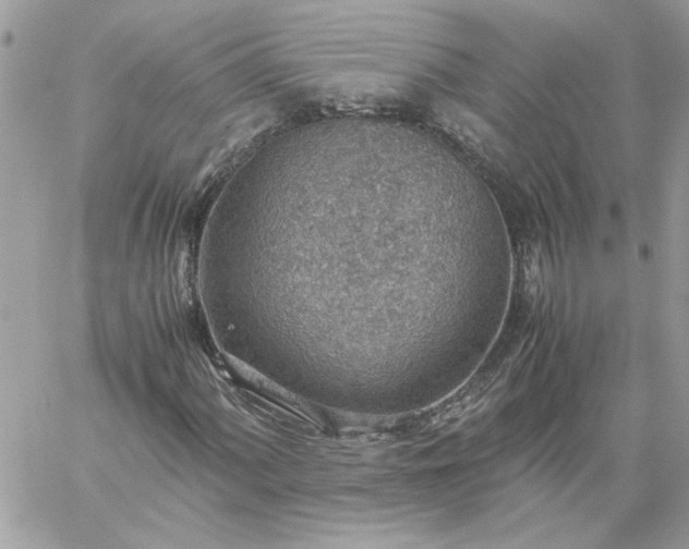 X0000059091060200510172049