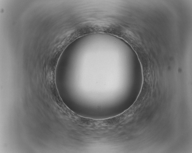 X0000059091061200510172049