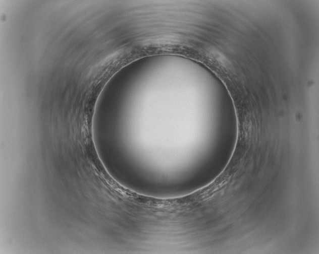 X0000059091062200510172049