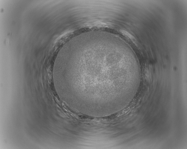 X0000059091063200510172049