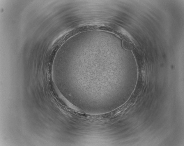 X0000059091064200510172049