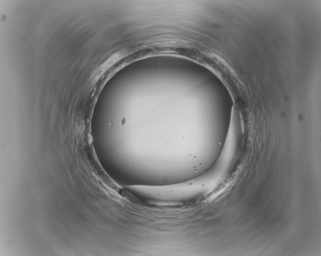 X0000059091065200510172049