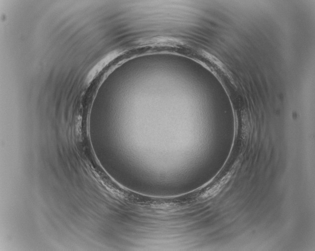 X0000059091066200510172049