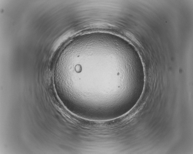 X0000059091067200510172049