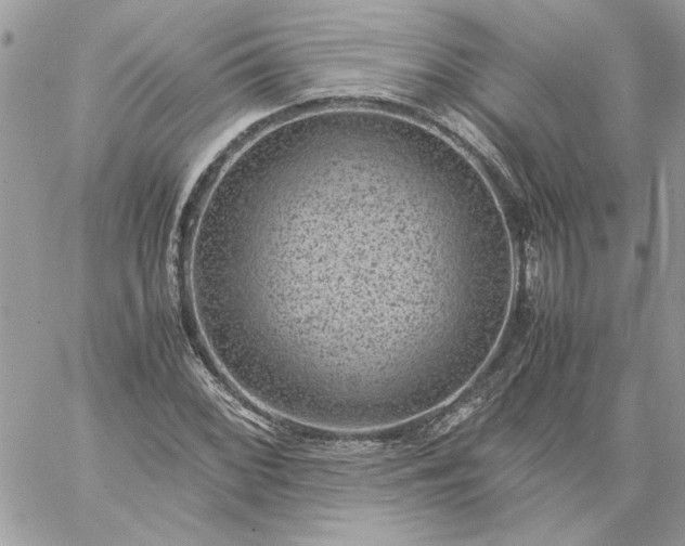 X0000059091068200510172049