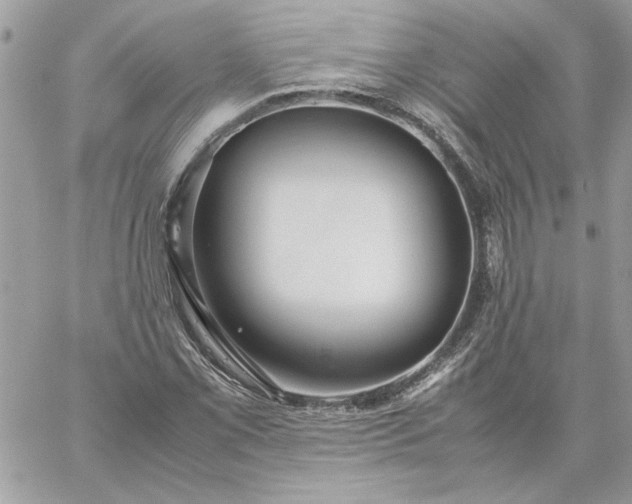 X0000059091069200510172049