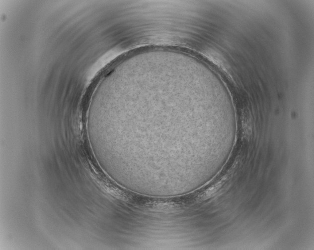 X0000059091070200510172049