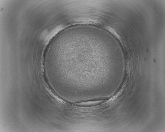 X0000059091071200510172049