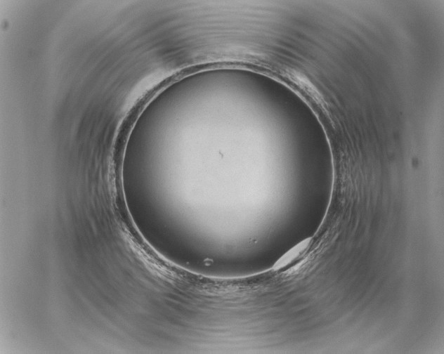 X0000059091072200510172049