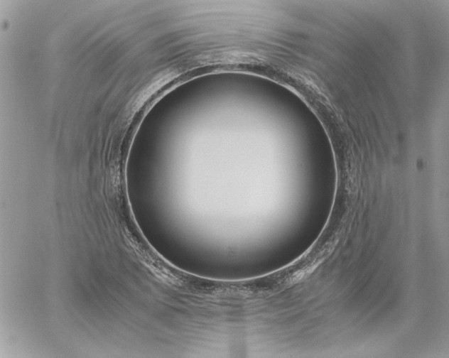 X0000059091073200510172049