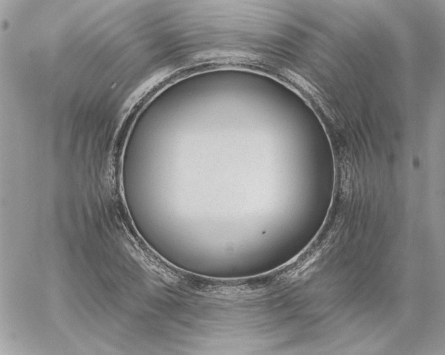 X0000059091074200510172049