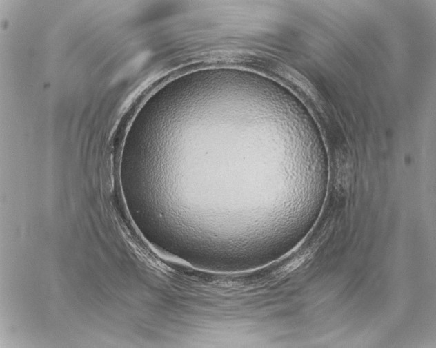 X0000059091075200510172049