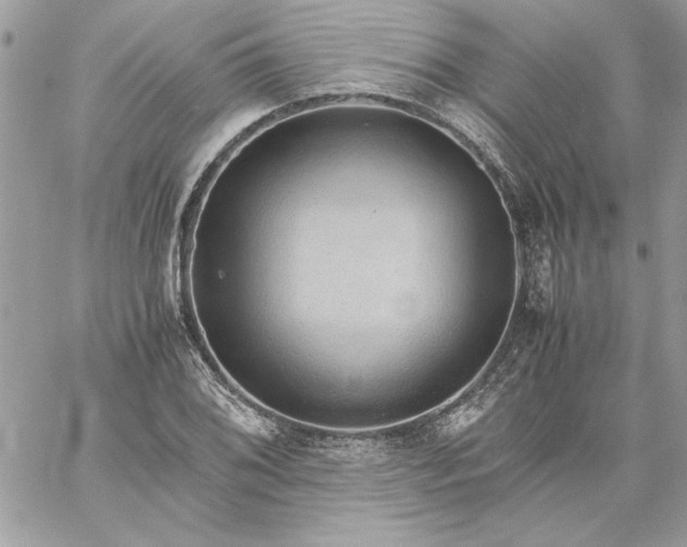 X0000059091076200510172049