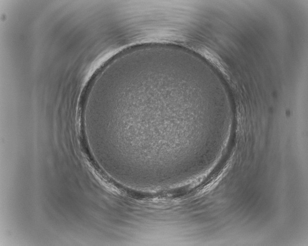 X0000059091077200510172049