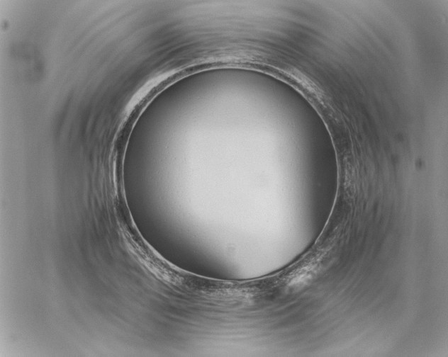 X0000059091078200510172049