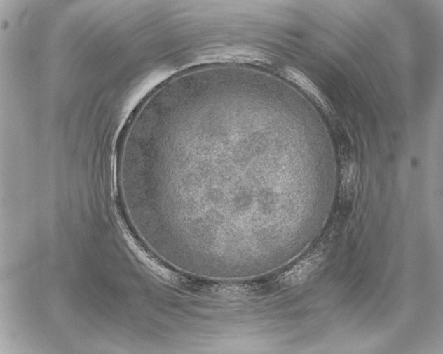 X0000059091079200510172049