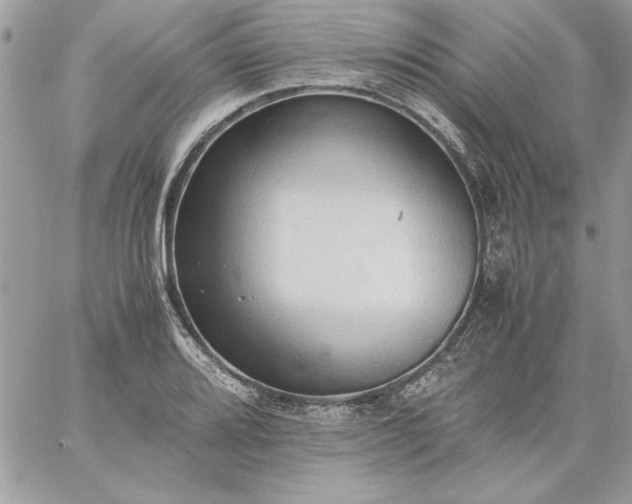 X0000059091080200510172049