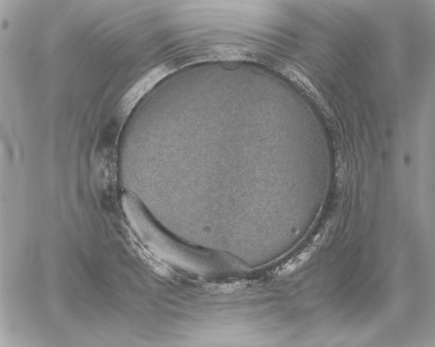 X0000059091081200510172049