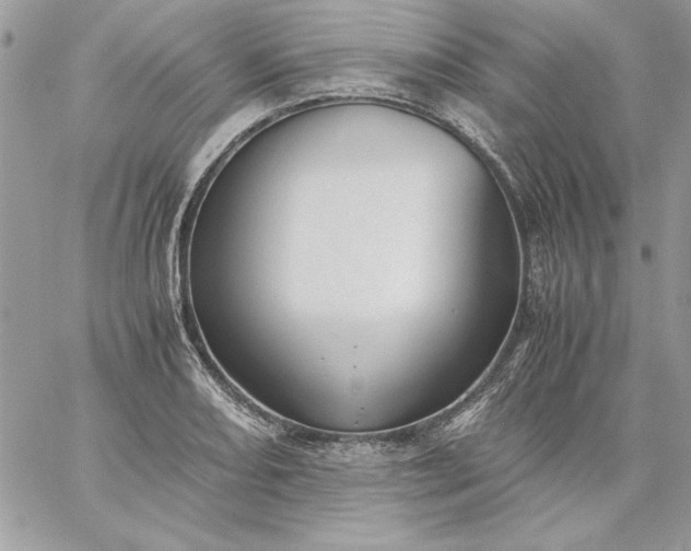 X0000059091082200510172049