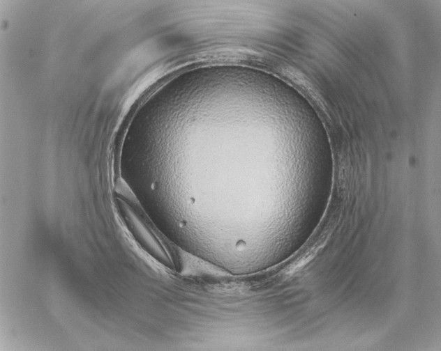 X0000059091083200510172049