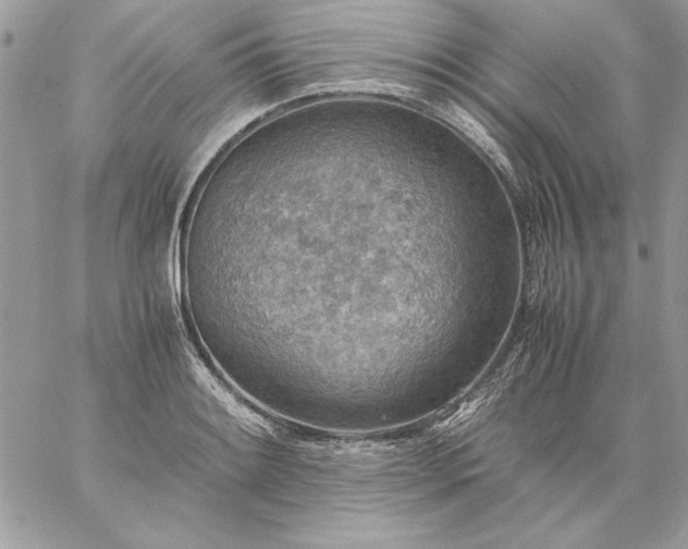 X0000059091084200510172049