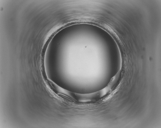 X0000059091085200510172049