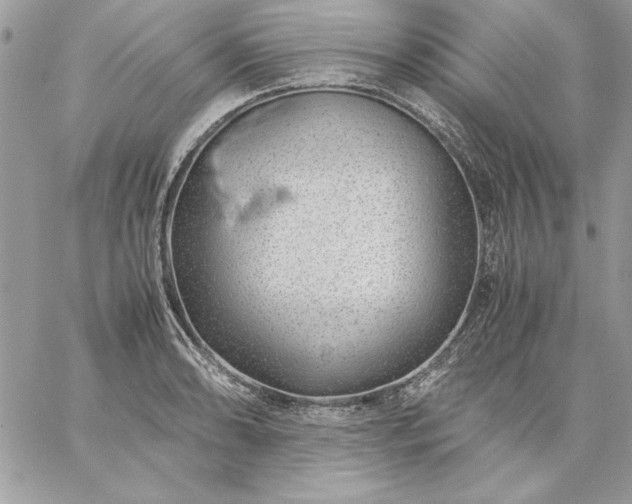 X0000059091086200510172049