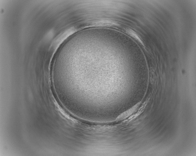 X0000059091087200510172049