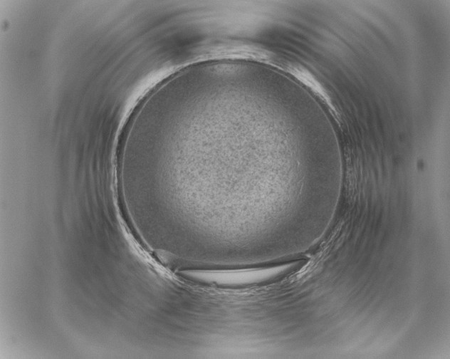 X0000059091088200510172048