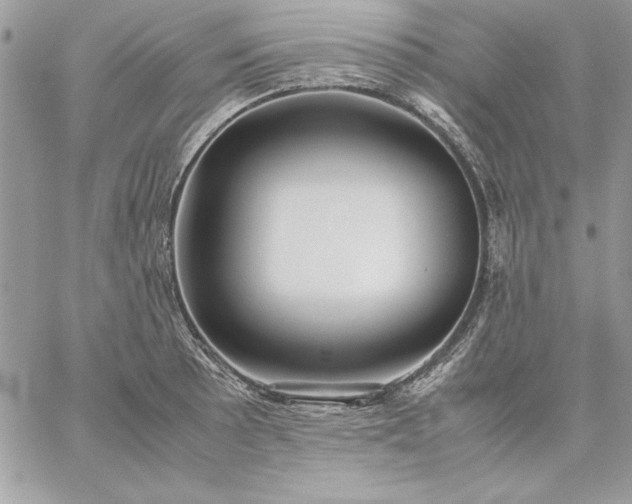 X0000059091089200510172048