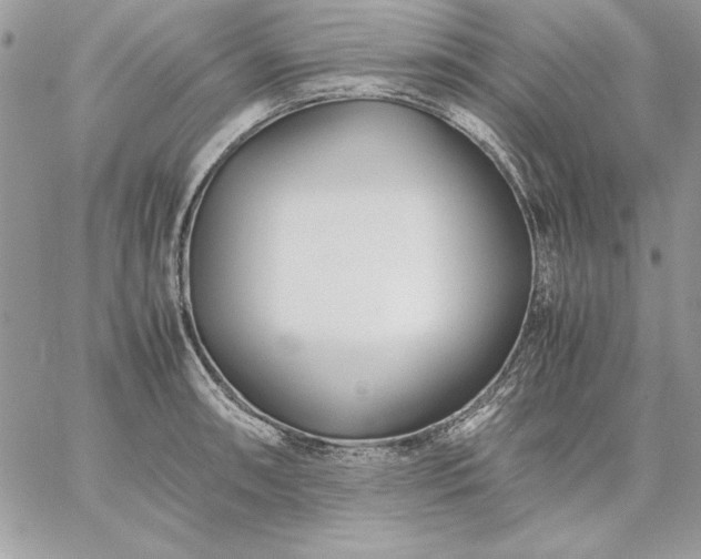 X0000059091090200510172048