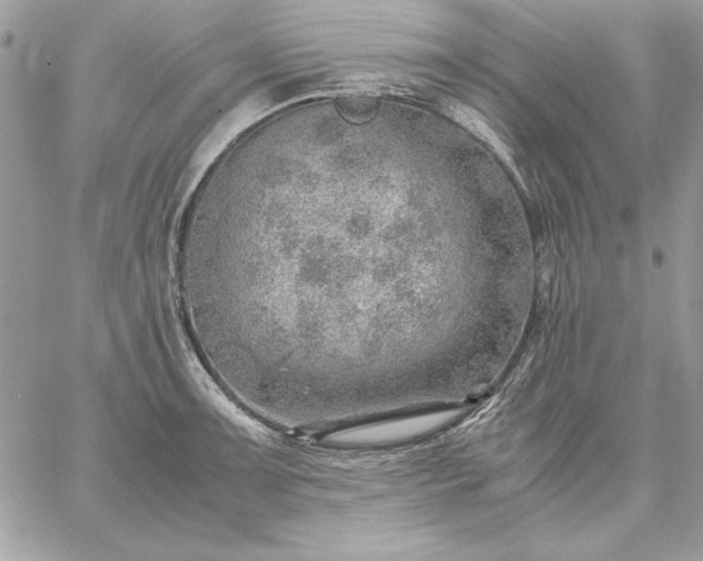 X0000059091091200510172048