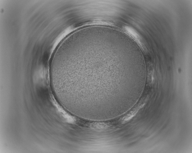 X0000059091092200510172048