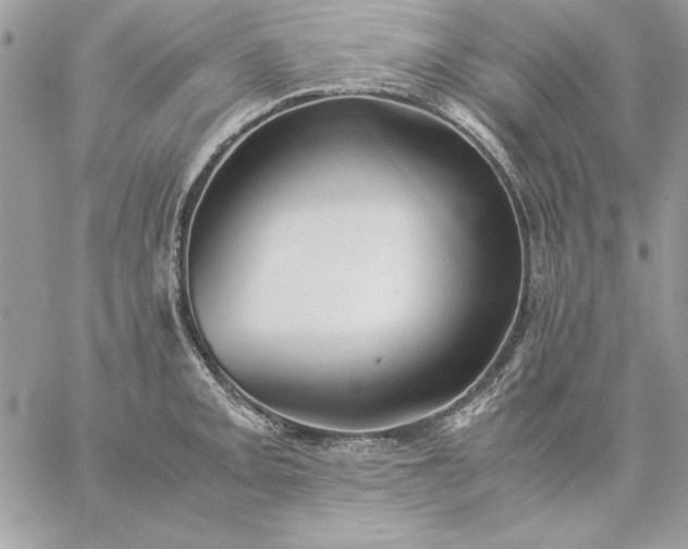 X0000059091093200510172048