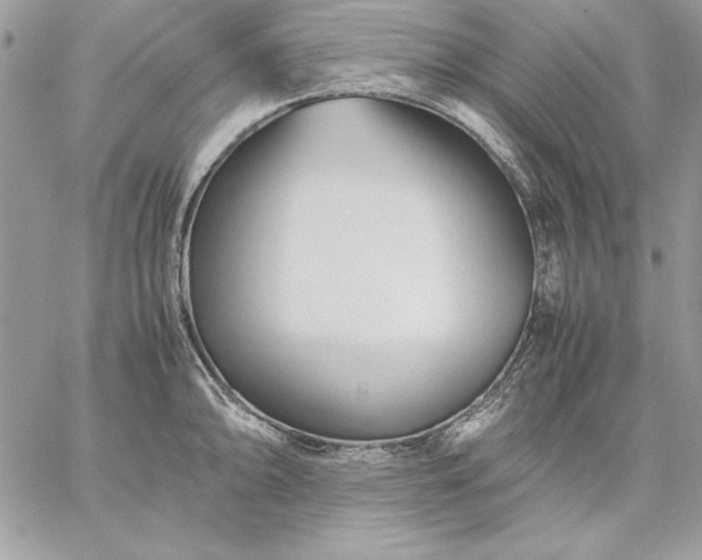 X0000059091094200510172048