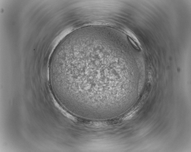 X0000059091095200510172048