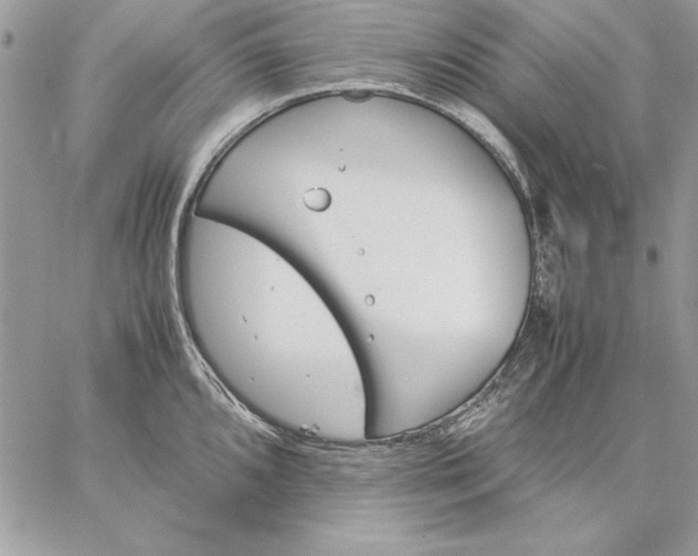 X0000059091096200510172048