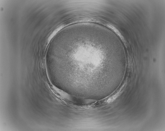 X0000059091097200510172048