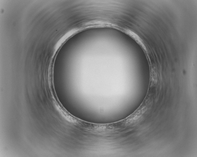 X0000059091098200510172048